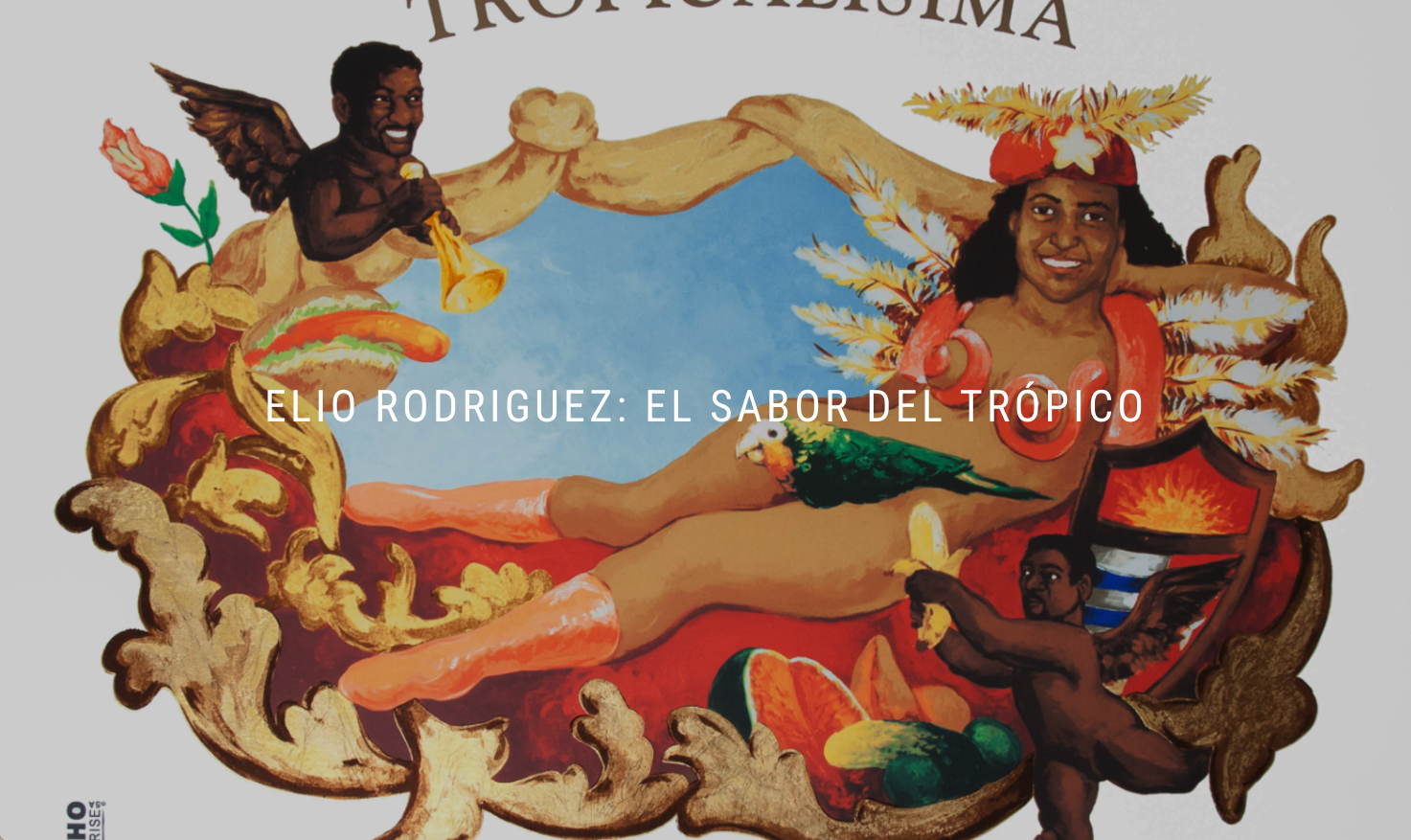 viewing romm 2025 elio rodriguez